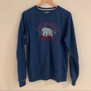 Levi’s blue graphic sweatshirt